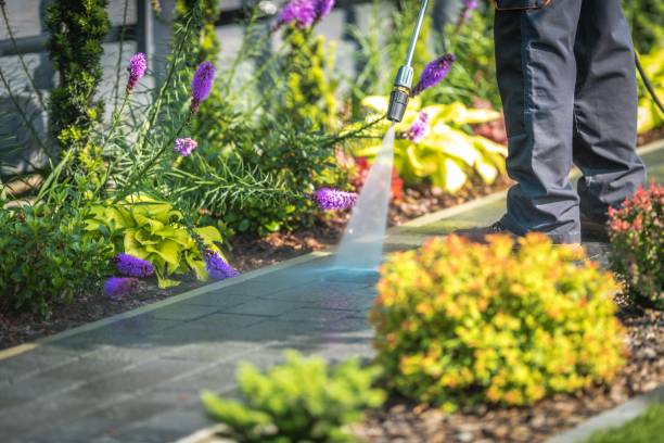 Best Winterizing Services  in Wilmington, NC